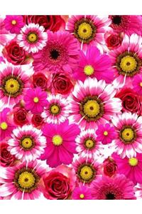 Gerber Daisy Journal