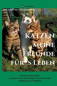 KATZEN - meine Freunde für's Leben