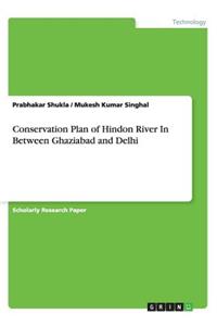 Conservation Plan of Hindon River In Between Ghaziabad and Delhi