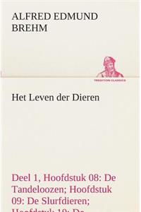 Het Leven der Dieren Deel 1, Hoofdstuk 08