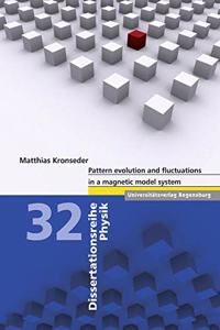 Pattern Evolution and Fluctuations in a Magnetic Model System