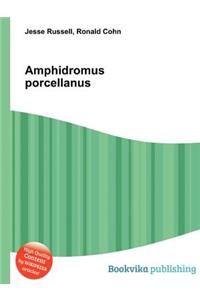 Amphidromus Porcellanus
