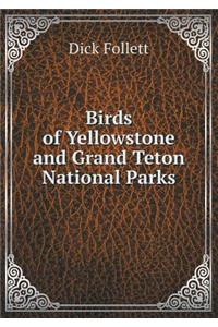 Birds of Yellowstone and Grand Teton National Parks