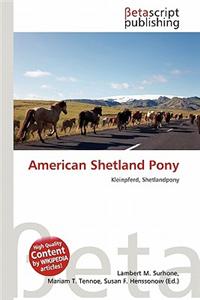 American Shetland Pony