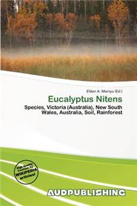 Eucalyptus Nitens