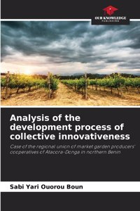 Analysis of the development process of collective innovativeness