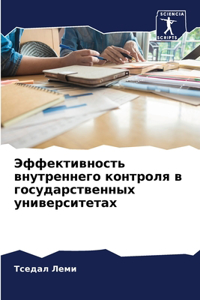 Эффективность внутреннего контроля в гос