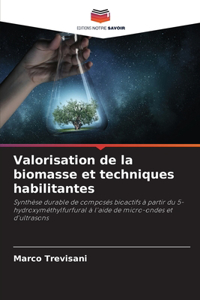 Valorisation de la biomasse et techniques habilitantes