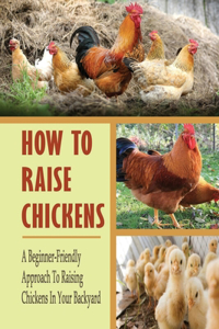 How To Raise Chickens