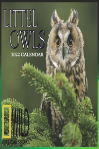 LITTEL OWLS calendar 2022