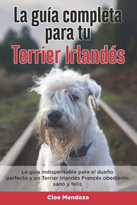 Guía Completa Para Tu Terrier Irlandés