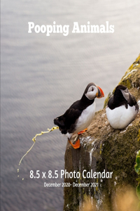 Pooping Animals 8.5 X 8.5 Calendar December 2020 - December 2021: Puffin Bird Cover - Monthly Calendar with U.S./UK/ Canadian/Christian/Jewish/Muslim Holidays -Weird Calendar - Funny Wall Calendar Gag Gift Idea Whi