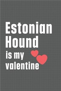 Estonian Hound is my valentine