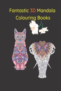 Fantastic 3D Mandala Colouring Books