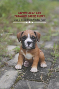 Taking Care and Training Boxer Puppy