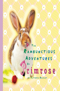 Rambunctious Life Of Primrose