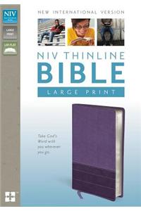 NIV Thinline Bible