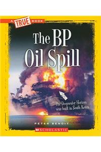 The BP Oil Spill