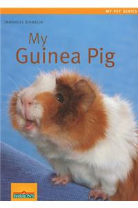 My Guinea Pig