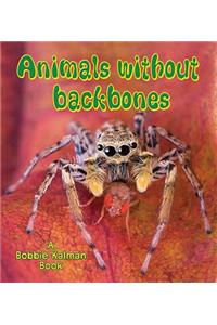 Animals Without Backbones
