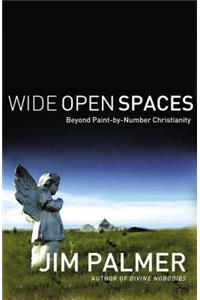 Wide Open Spaces: Beyond Paint-By-Number Christianity