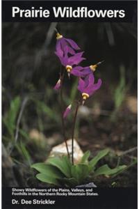 Prairie Wildflowers