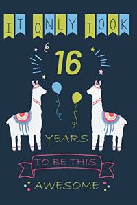 It Only Took 16 Year to be this Awesome
