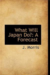 What Will Japan Do?