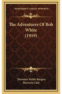 The Adventures of Bob White (1919)