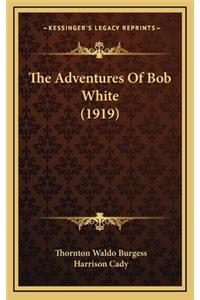 The Adventures of Bob White (1919)