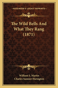 The Wild Bells and What They Rang (1871)