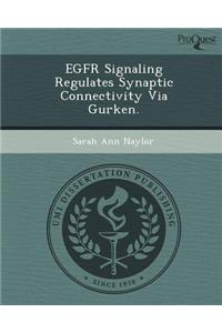 Egfr Signaling Regulates Synaptic Connectivity Via Gurken