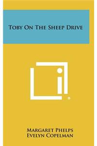 Toby on the Sheep Drive