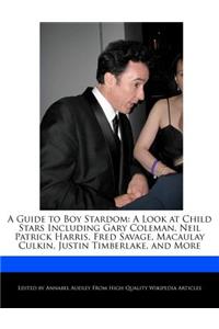 A Guide to Boy Stardom