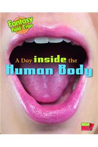 Day Inside the Human Body