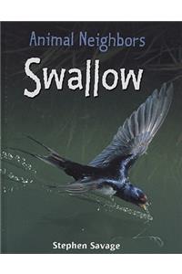 Swallow