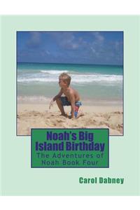 Noah's Big Island Birthday
