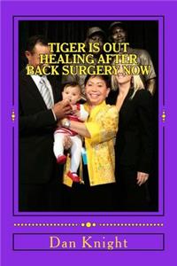 Tiger Is Out Healing After Back Surgery Now: What Is Golf Like Without the Tiger Woods