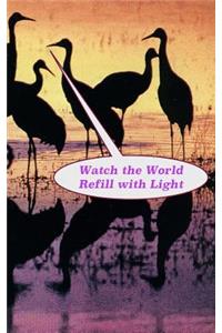 Watch the World Refill with Light