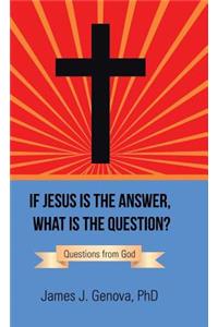 If Jesus Is the Answer, What Is the Question?