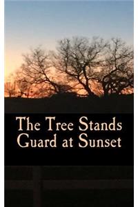 The Tree Stands Guard at Sunset