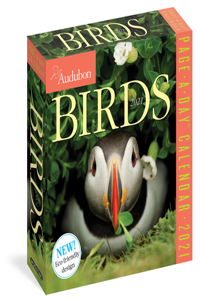 Audubon Birds Page-A-Day Calendar 2021