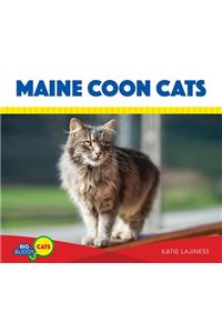 Maine Coon Cats