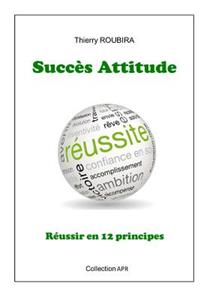Succes Attitude