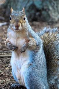 Squirrel Journal