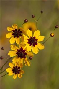 Yellow and Burgundy Plains Coreopsis Wildflowers Journal