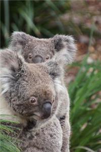 Mama Australian Koala Bear with her Baby Joey Journal