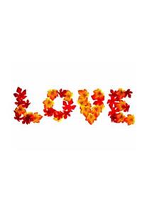 Wedding Journal Love Fall Foliage Autumn Leaves