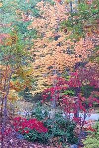 Journal Fall Trees Changed Colors