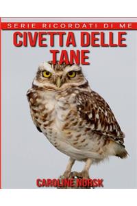 Civetta Delle Tane